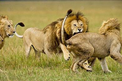 Fami通新一周销量榜：《马车世界》连续三周登顶！