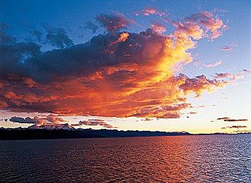 卡牌游戏《勇者赶时间》4月22日EA发售 支持中文